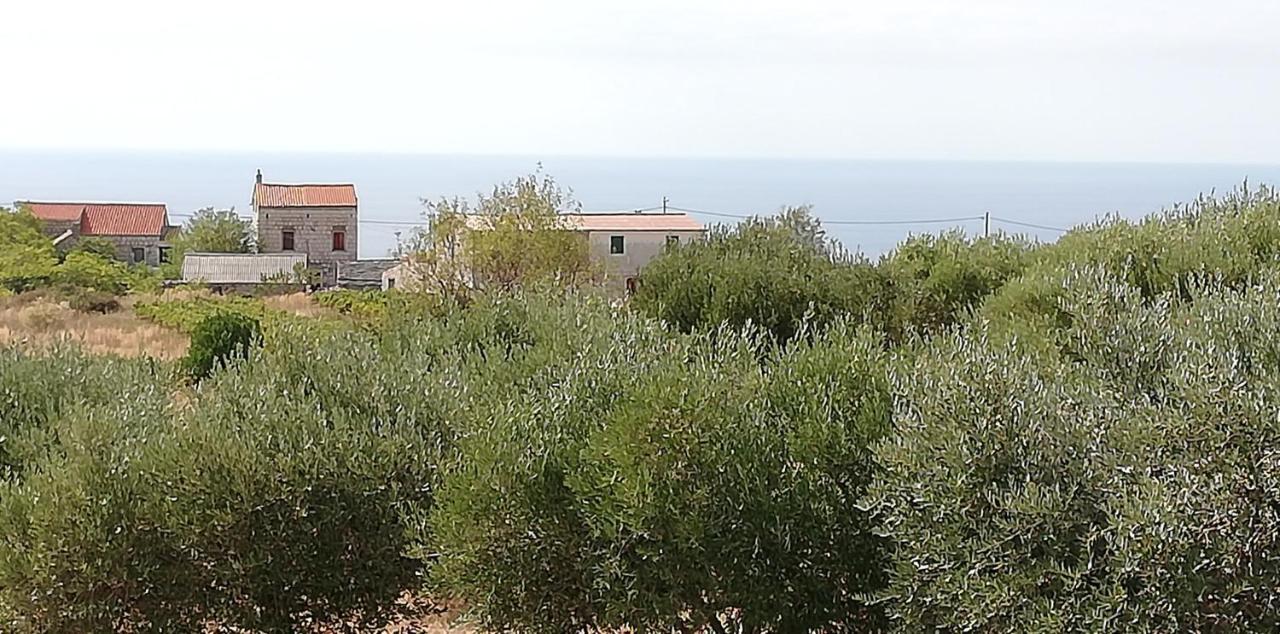 Holiday Home Burba Komiža Εξωτερικό φωτογραφία